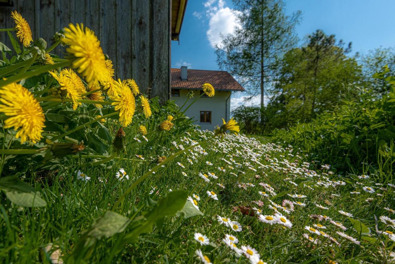Ferienhaus Schlierachtal Miesbach Buitenkant foto